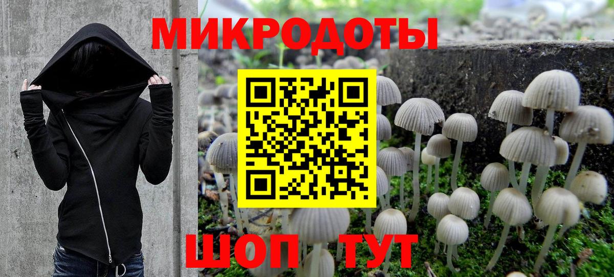 Псилоцибиновые грибы мицелий  Вход с VPN  Псилоцибиновые грибы GOLDEN TEACHER  Красноярск 